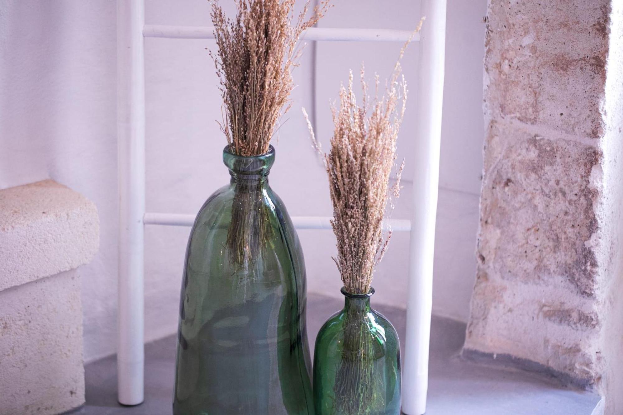 Ferienwohnung Le Jardi Ostuni By Go New Location Exterior foto